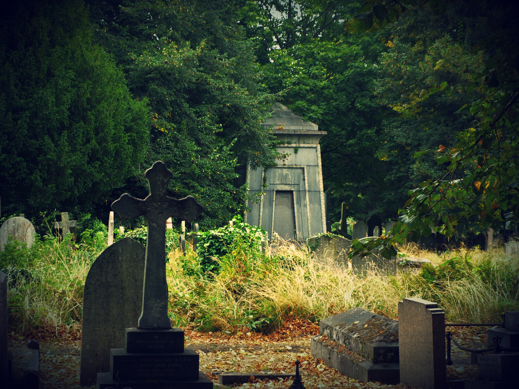 courtoy201_zpsjtxjbic2