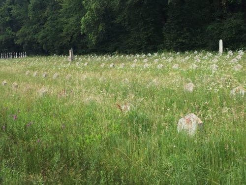 Russian Soviet plot Cimitirul Central Sibiu Romania