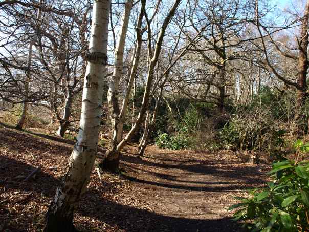 View of the walk from the mansion to the mausoleum