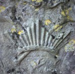 crown gravestone cemetery symbolism