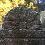 daisy flower cemetery headstone memorial graveyard stone