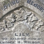 ivy symbol headstone graveyard cemetery leaves