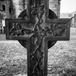 ivy vine leaves cross cemetery gravestone black white photograph