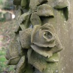 rose symbol purity cemetery graveston memento mori
